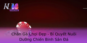 Chan Ga Choi Ep Bi Quyet Nuoi Duong Chien Binh San A