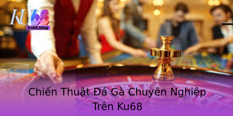 Chiến Thuật Đá Gà Chuyên Nghiệp Trên Ku68 Chiến Thuật Đá Gà Chuyên Nghiệp Trên Ku68