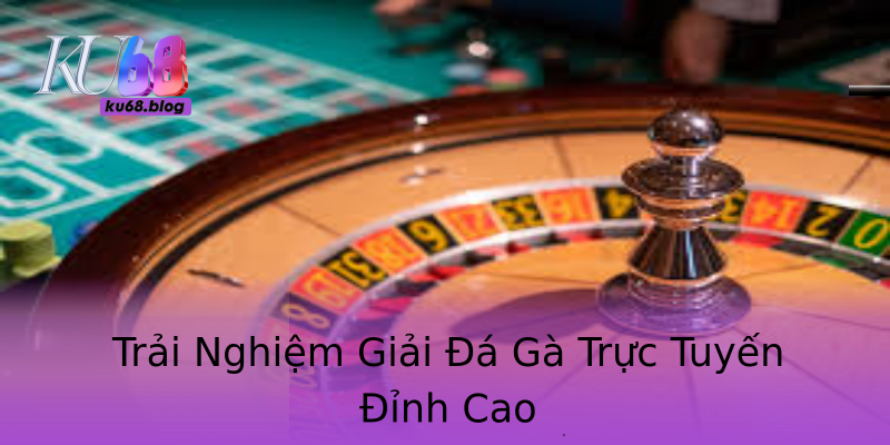 Trải Nghiệm Giải Đá Gà Trực Tuyến Đỉnh Cao Trải Nghiệm Giải Đá Gà Trực Tuyến Đỉnh Cao
